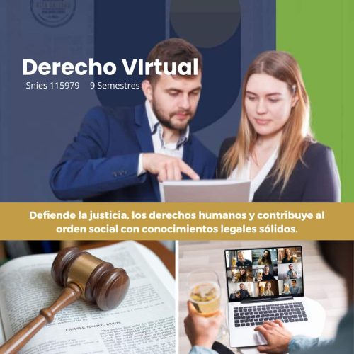 Derecho-virtual.jpg